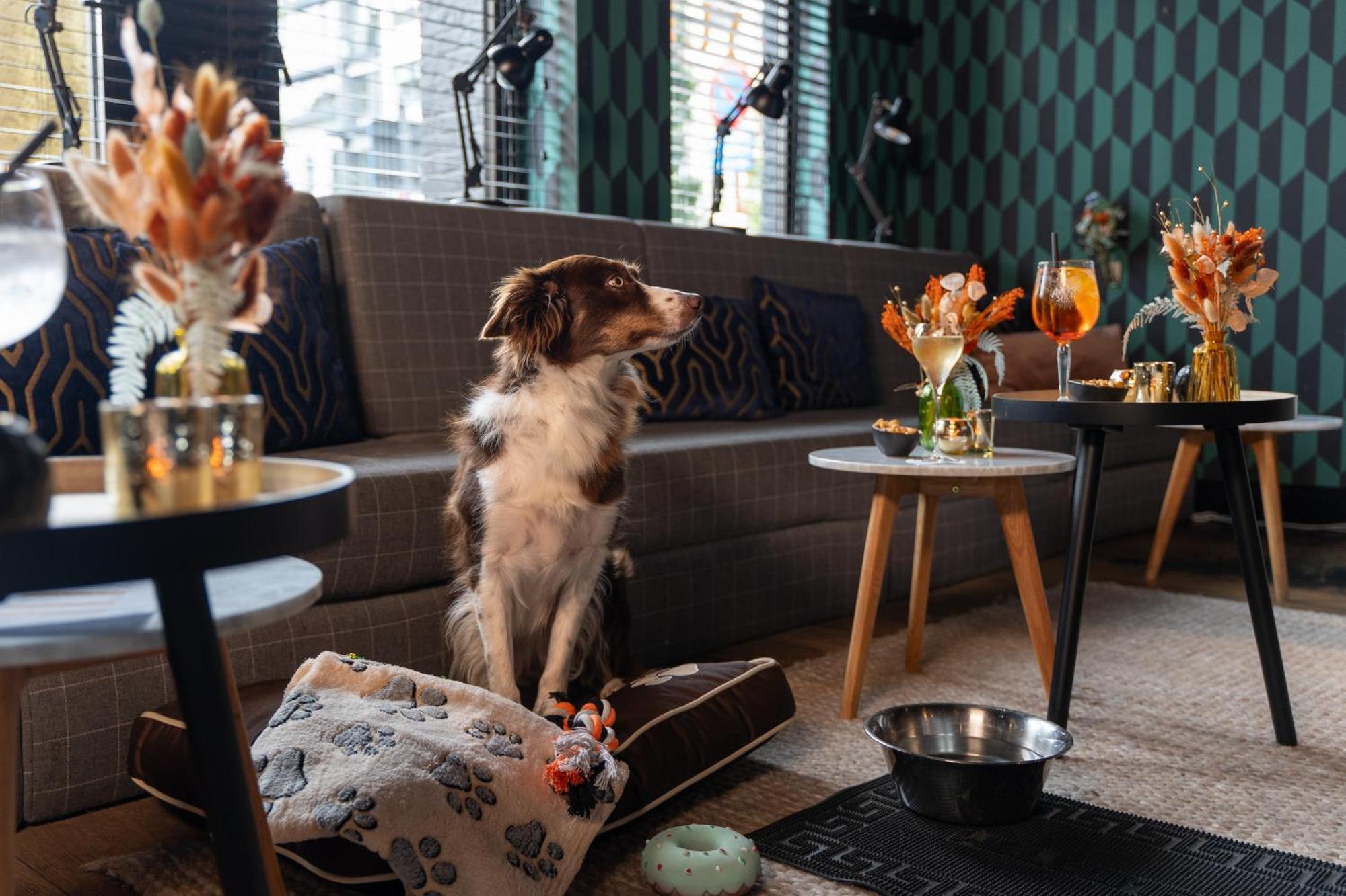 Ibis Styles Hasselt City Centre Εξωτερικό φωτογραφία