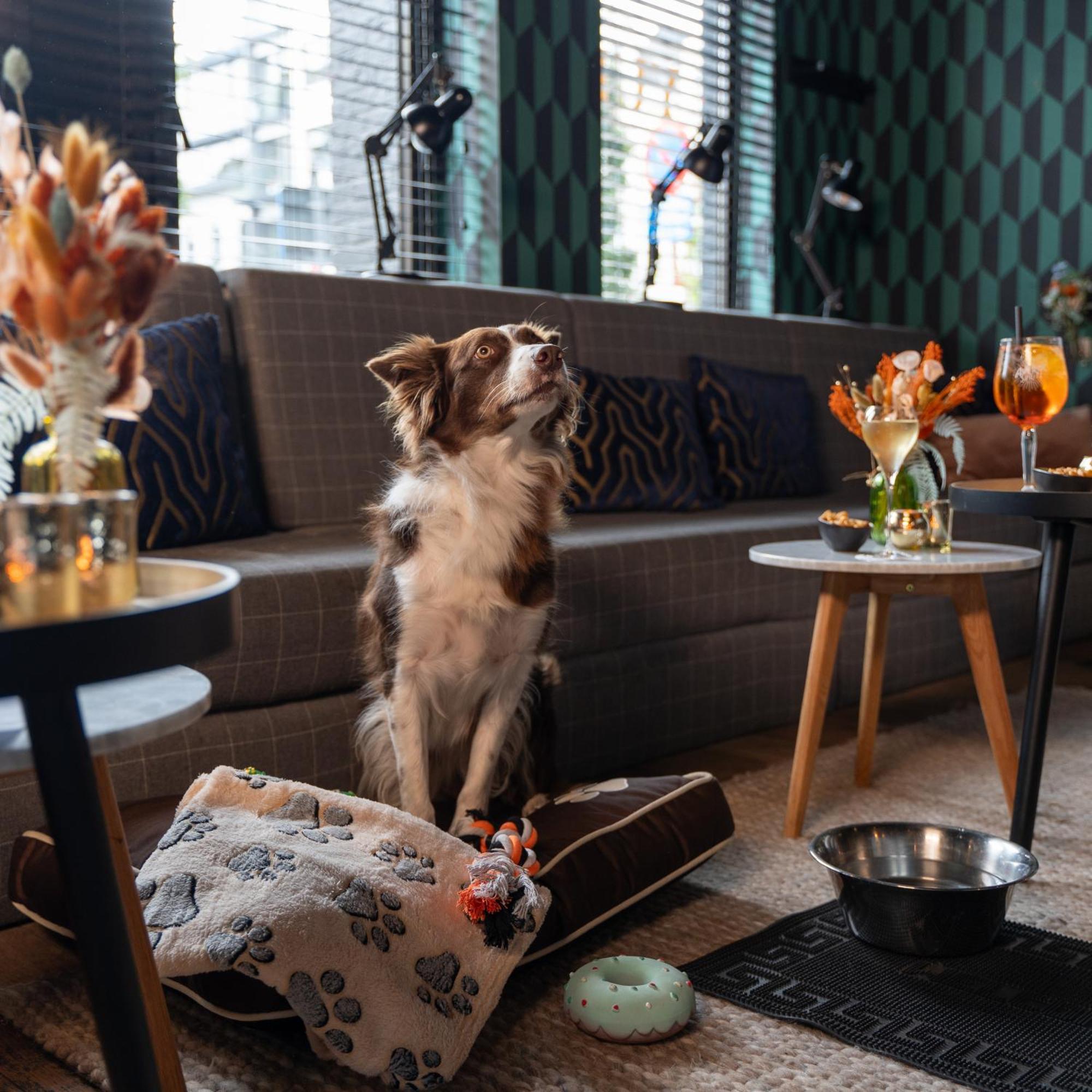 Ibis Styles Hasselt City Centre Εξωτερικό φωτογραφία